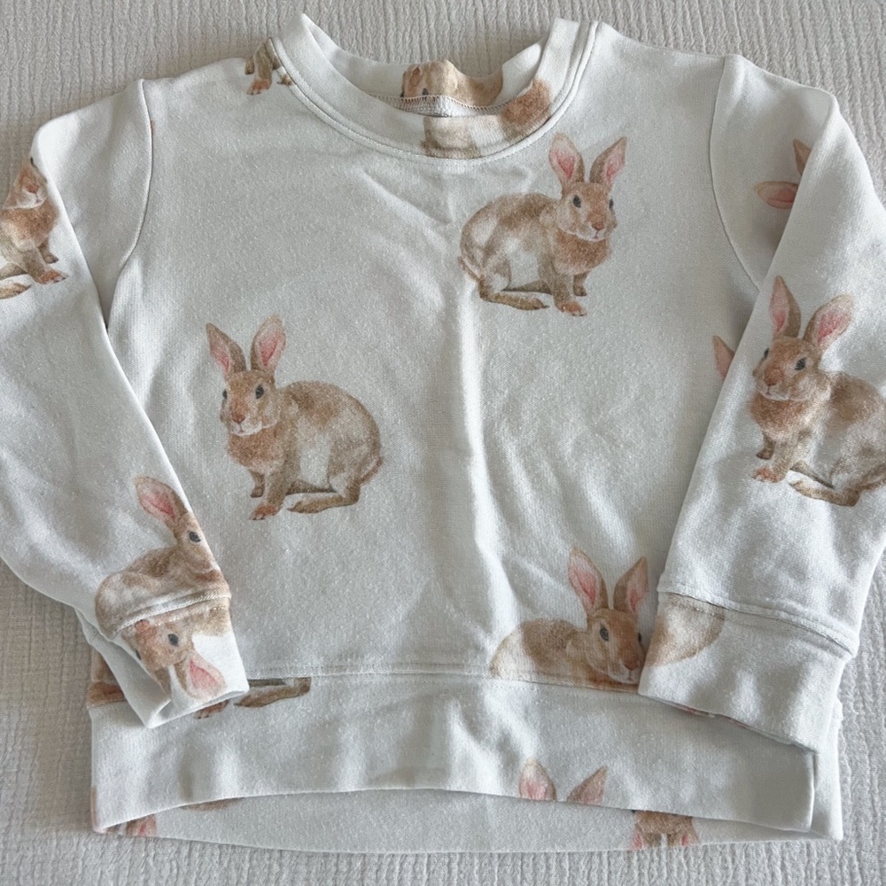 Brokedown clothing bunny top